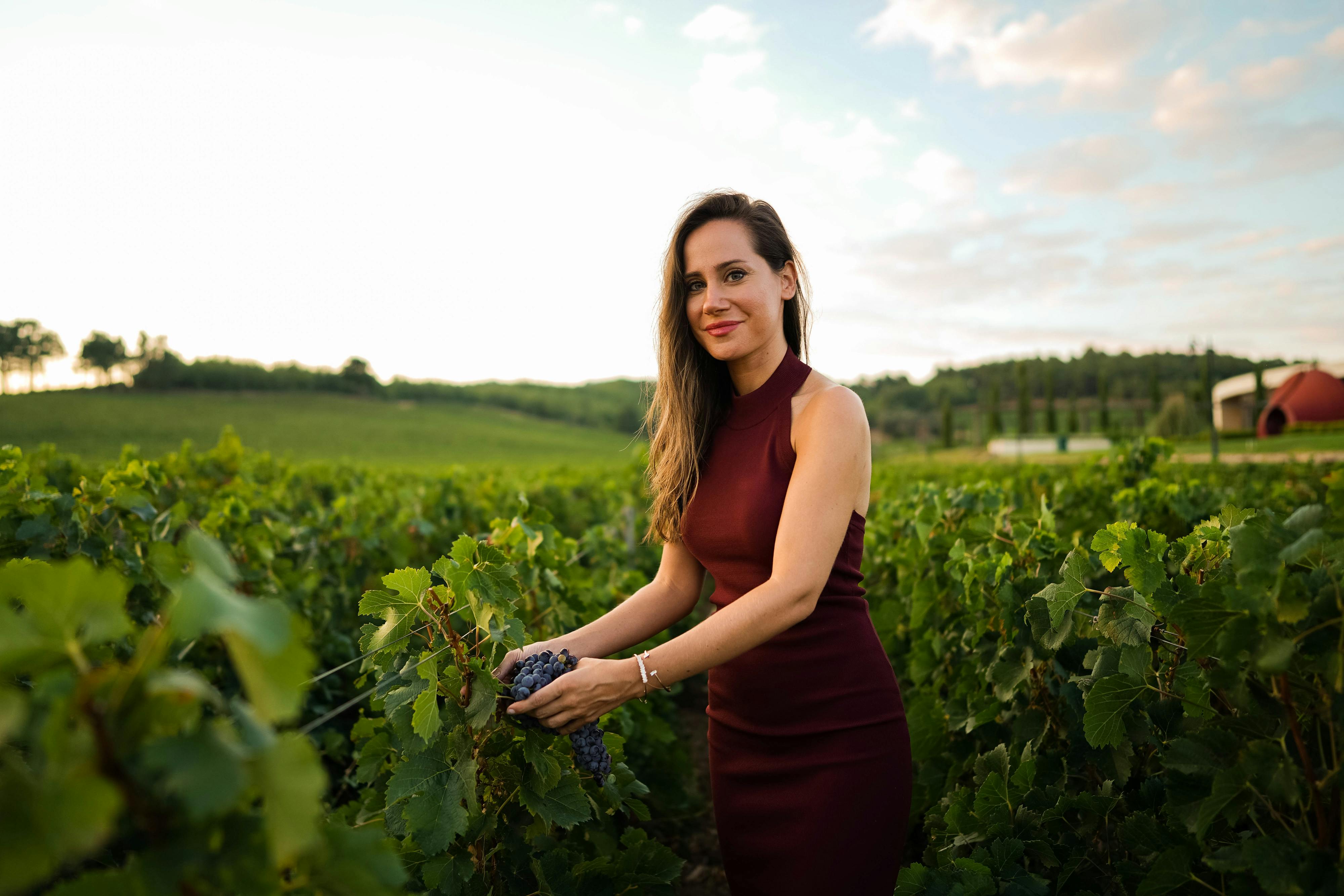 Winery Sacramento Reviews: Why Guests Love Silt Wine Company